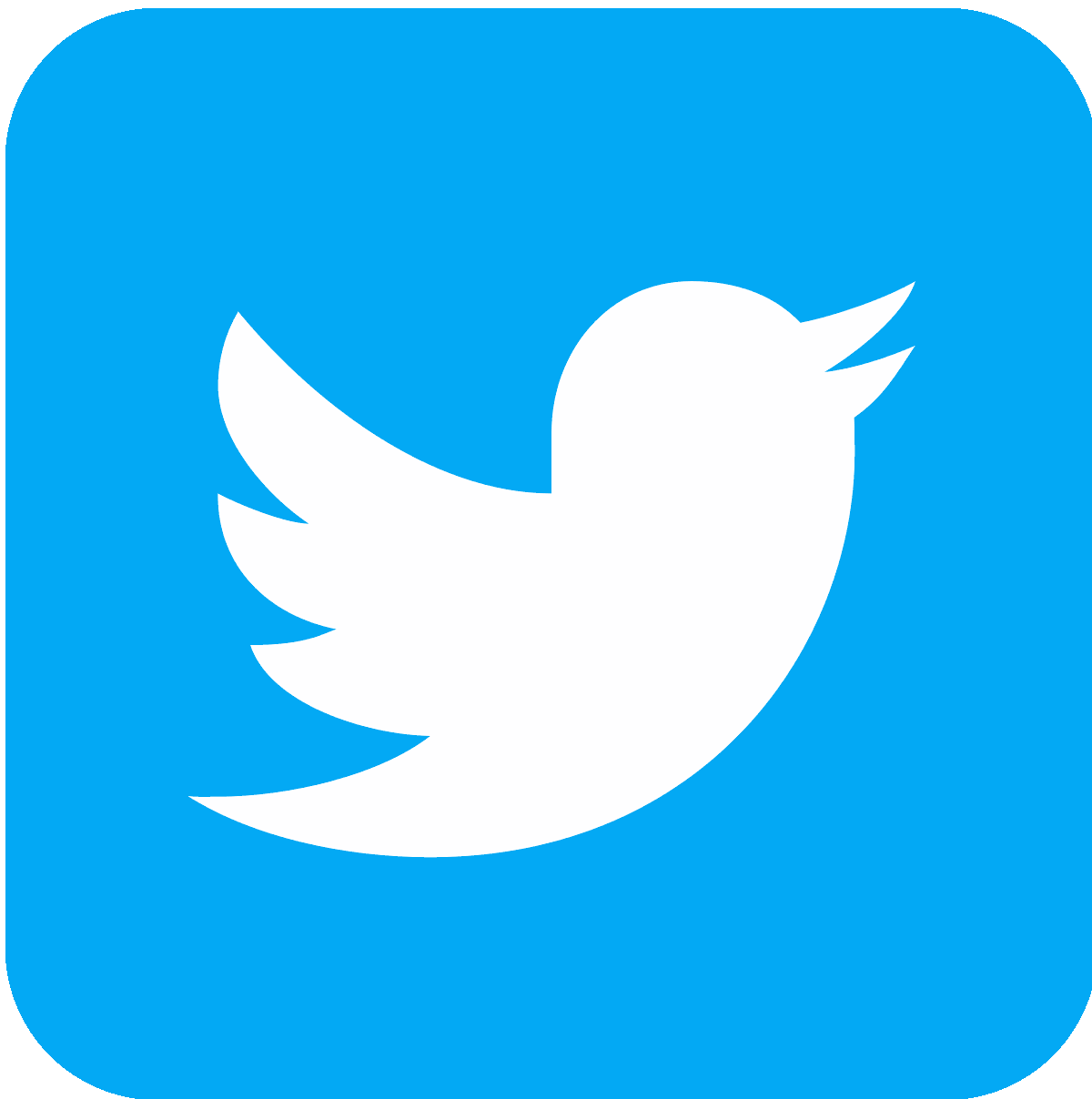 twitter-icon